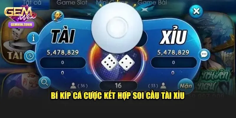 Những lưu ý quan trọng giúp người chơi soi cầu thành công